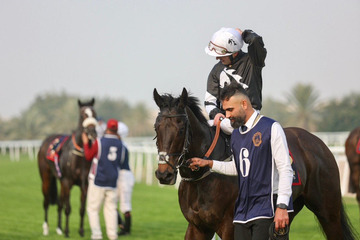 Get It is set to compete in the $80,000 Al Manama Cup this upcoming Friday in Bahrain, with jockey Edinson Rodriguez riding for trainer George Baker 🇧🇭.

We look forward to seeing him back in action at a racecourse he enjoyed previous success last year, winning the Al Wasmiya