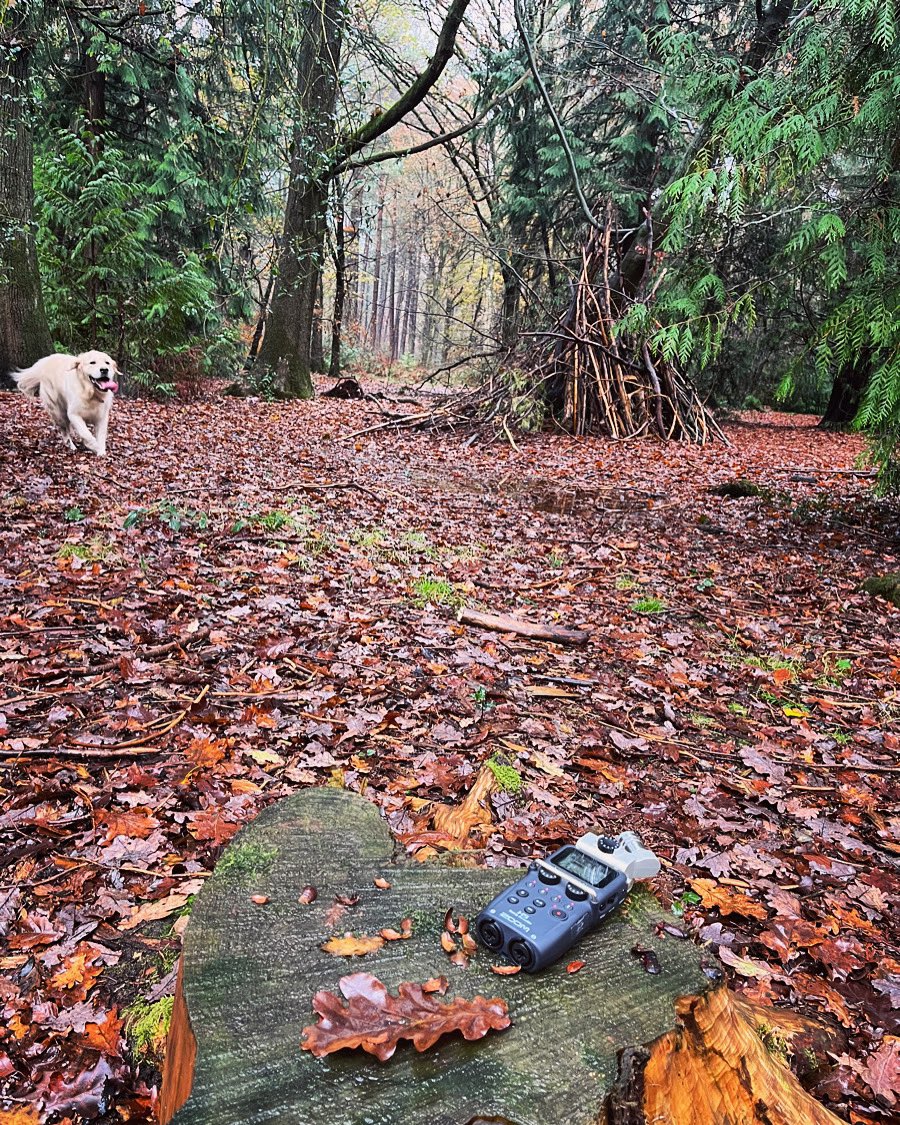 Zoom H5 (recorder) + Zoom HDog (retriever) 🍂🌳🐾 #fieldrecording