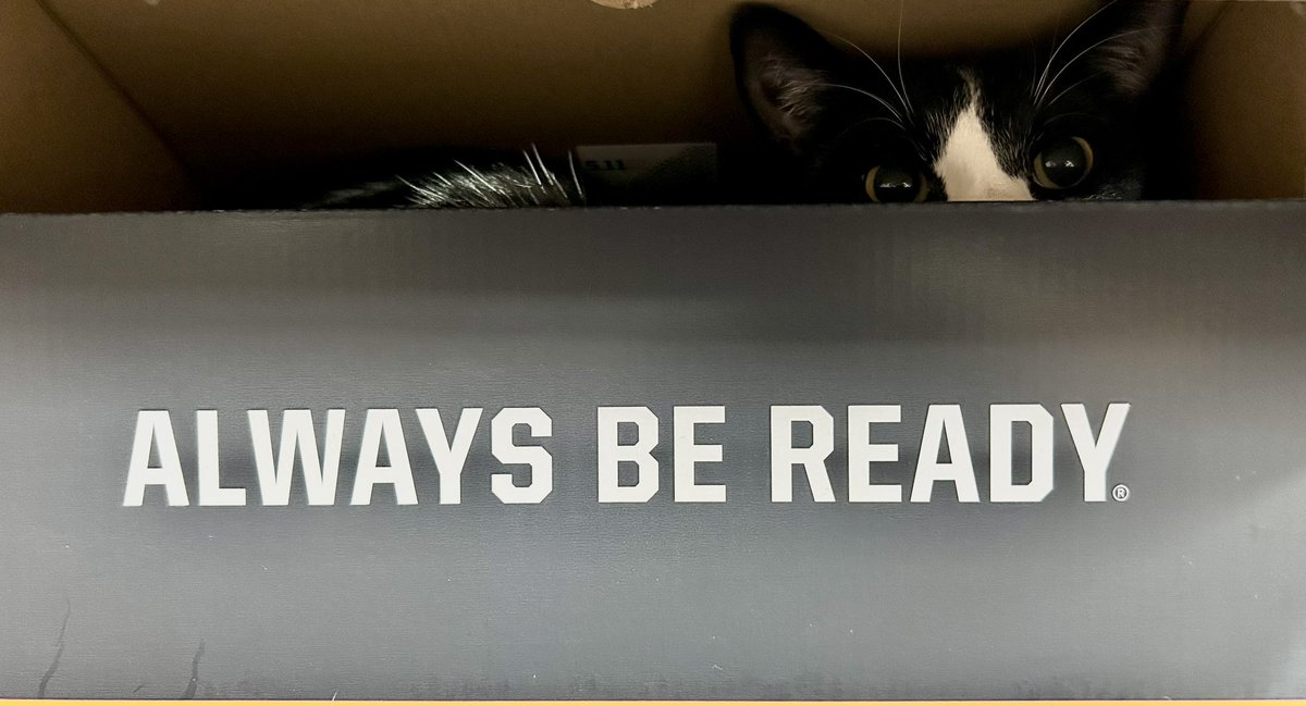 jackcaron's tweet photo. I love my new @511Tactical Ranger 2.0 trainers. Our cat, Shadow, likes the box! #alwaysbeready https://t.co/utiANwwR6Y