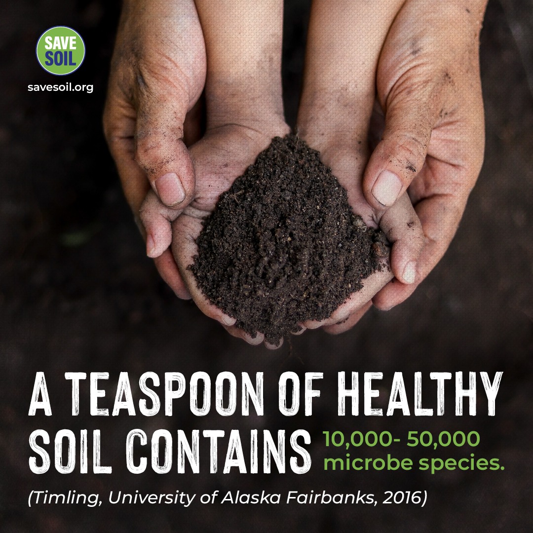SprinkleSparkBa's tweet photo. At COP28, let's advocate for policies that restore soil health. SaveSoil is integral to combat climate change. #soilforclimateaction https://t.co/9egP7YpVTh