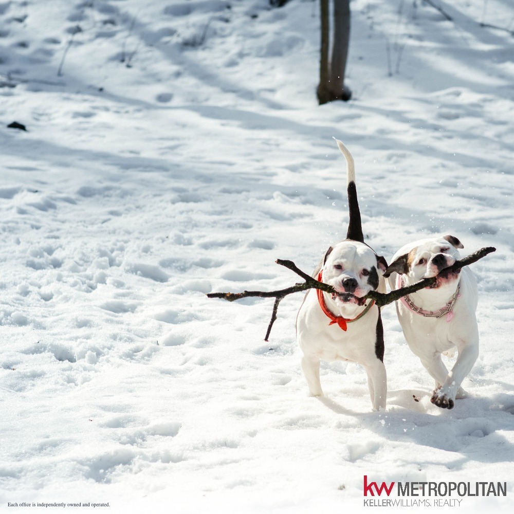 Snowy days are here in some parts of New England! 
☃️❄️ 
What's your go-to winter activity? Cozying up with a book, mastering snowman sculpting, or indulging in winter sports?
❄️✨ 
How do you winter?

#KWNE #WinterAdventures #SnowyDays #FlurryofFun #WinterMagic #HeaneyHomes