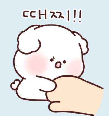 범규⚜ ˙𐃷˙ tweet media