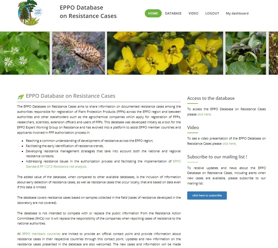 EPPO Efficacy tweet media