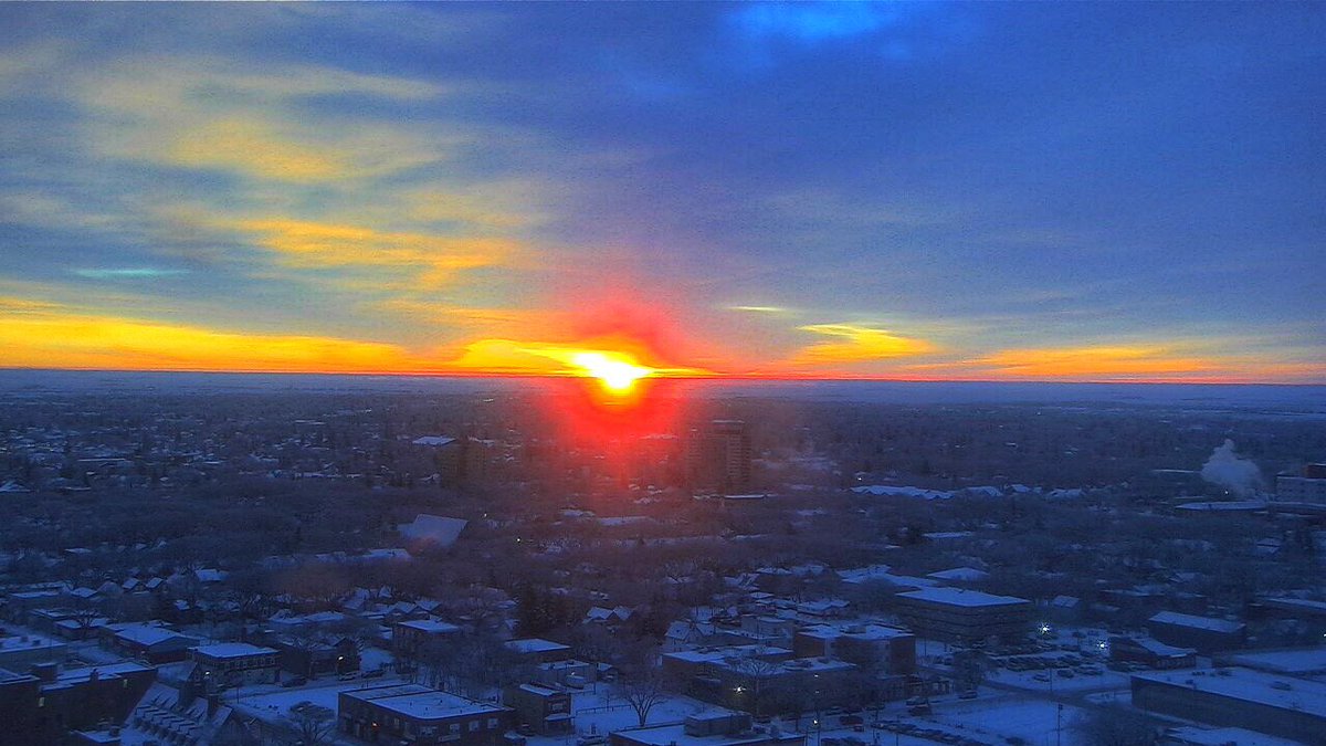 Chris Arden Haynes tweet media