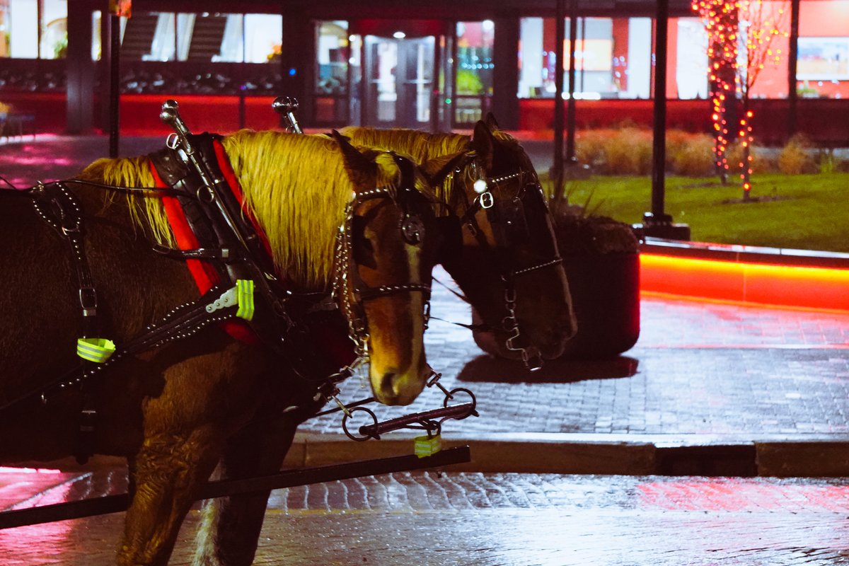 We had a great time at the Battle Creek Winter Wanderland  festivities this past weekend. It was great to support local businesses and creators as well as get into the holiday spirit with our community!
#battlecreek #supportlocal