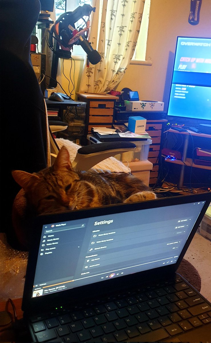 Tom75UK (@1975gerry) on Twitter photo 