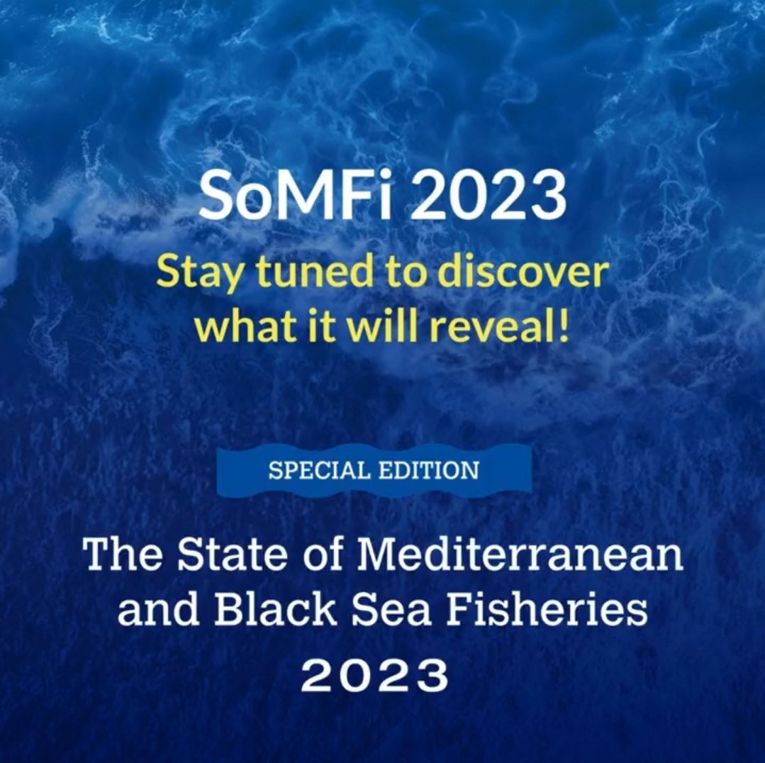 Register now to join us for the unveiling of the #SOMFI2023

Just for 30 minutes on Zoom to understand the state of Black sea &amp; Mediterranean Fisheries.

🗓️️ 7 Dec 10.00 CET

Registration link: fao.org/gfcm/meetings/…