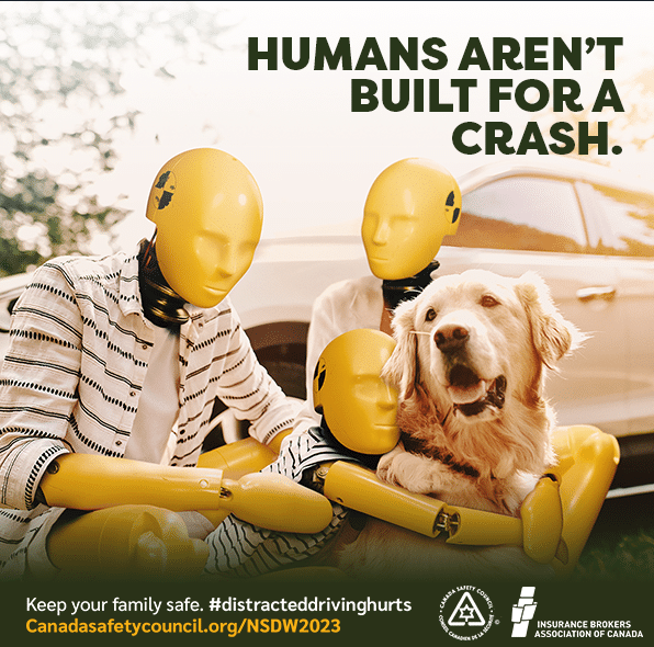 Steering towards safety during National Safe Driving Week. 🚗✨Let's buckle up, stay focused, and make every journey a safe one. Let's stay safe, Canada!
#YD #YoungDrivers #YoungDriversofCanada #SafeDriving #NationalSafeDrivingWeek #SafeDrivingWeek #DriveSafeCanada #RoadSafety