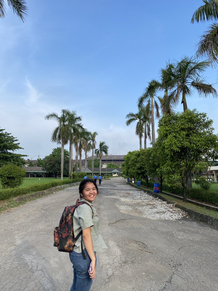 Dian Mayasari tweet media