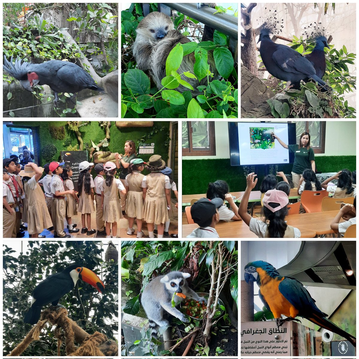 Shilpa Pawar tweet media