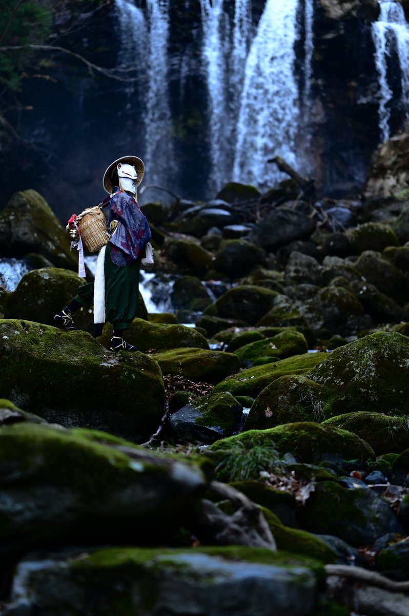 オサキ狐のアサキ tweet media