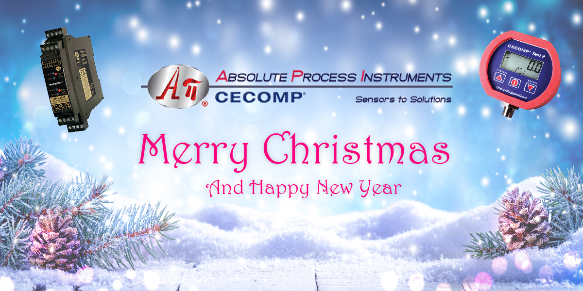 API Holiday Schedule 

Happy Holidays

It’s that time of year again…API will be closed December 25 &amp; January 1 in observance of the holiday season.

To avoid the holiday delays place your orders early.

api-usa.com
sales@api-usa.com or 800-942-0315
#apicecomp