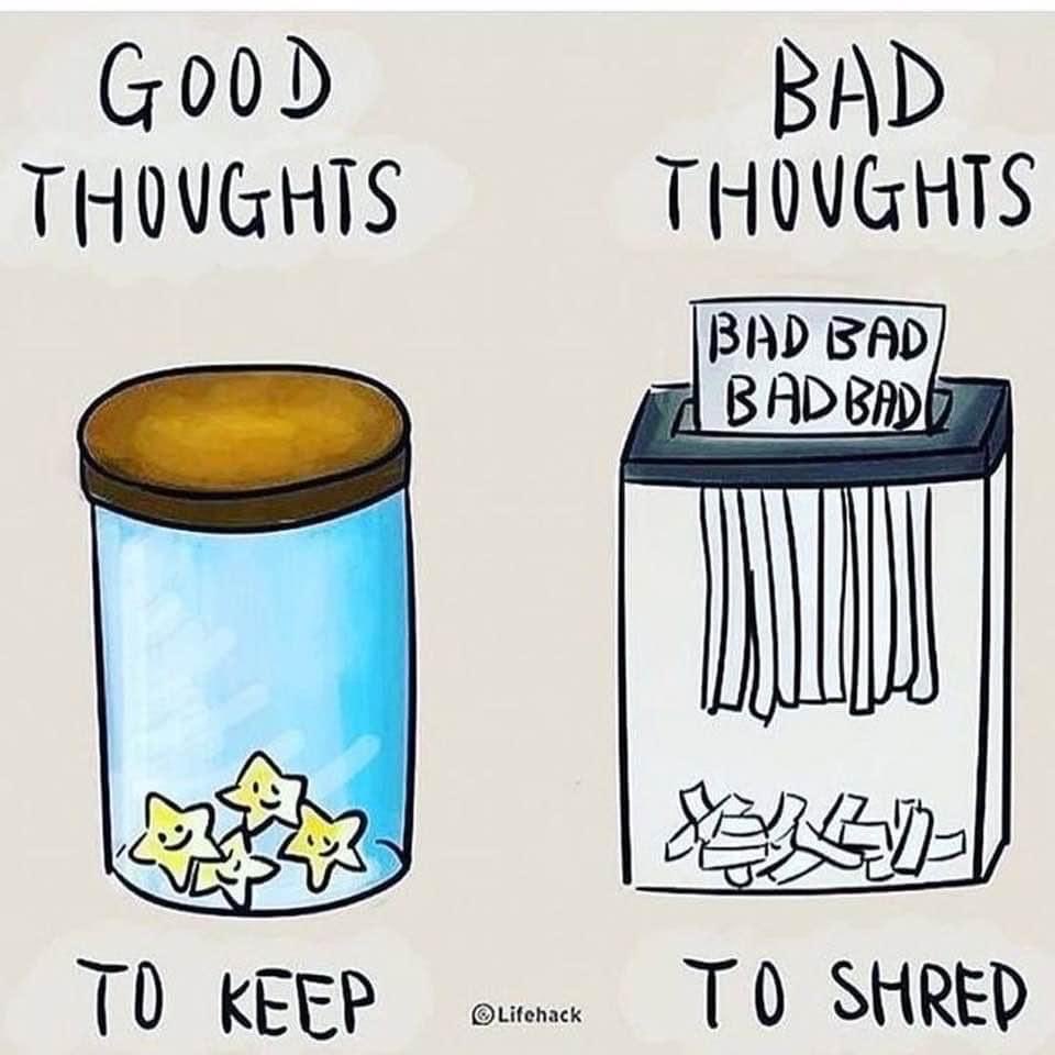 Heather Friziellie (@heatherlfriz) on Twitter photo 