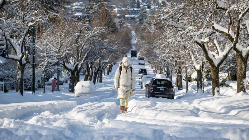 SilverStarTree1's tweet photo. Snow in the forecast for Vernon
Winter is set to return to the North Okanagan this week. Environment Canada is forecasting below freezing temperatures over the next several days...
https://t.co/J83u8gP11D
#silverstartreesbc
#treesbc
#vernontreesbc https://t.co/4VhvOGJzCz
