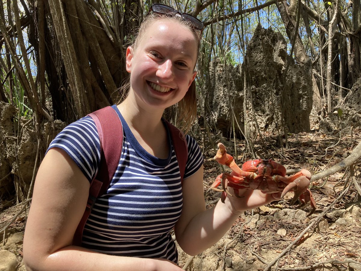 Team crab are studying crustaceans on Christmas Island with particular reference to the red crab migration 1 of 2 🦐 @realdocspicer @kat_clayton1 @PlymUni @MBERC_PlymUni @plymouthbiol