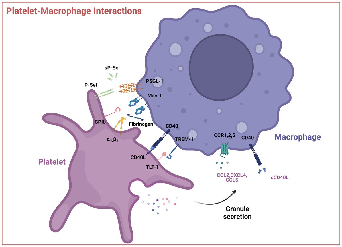 Carsten Deppermann tweet media