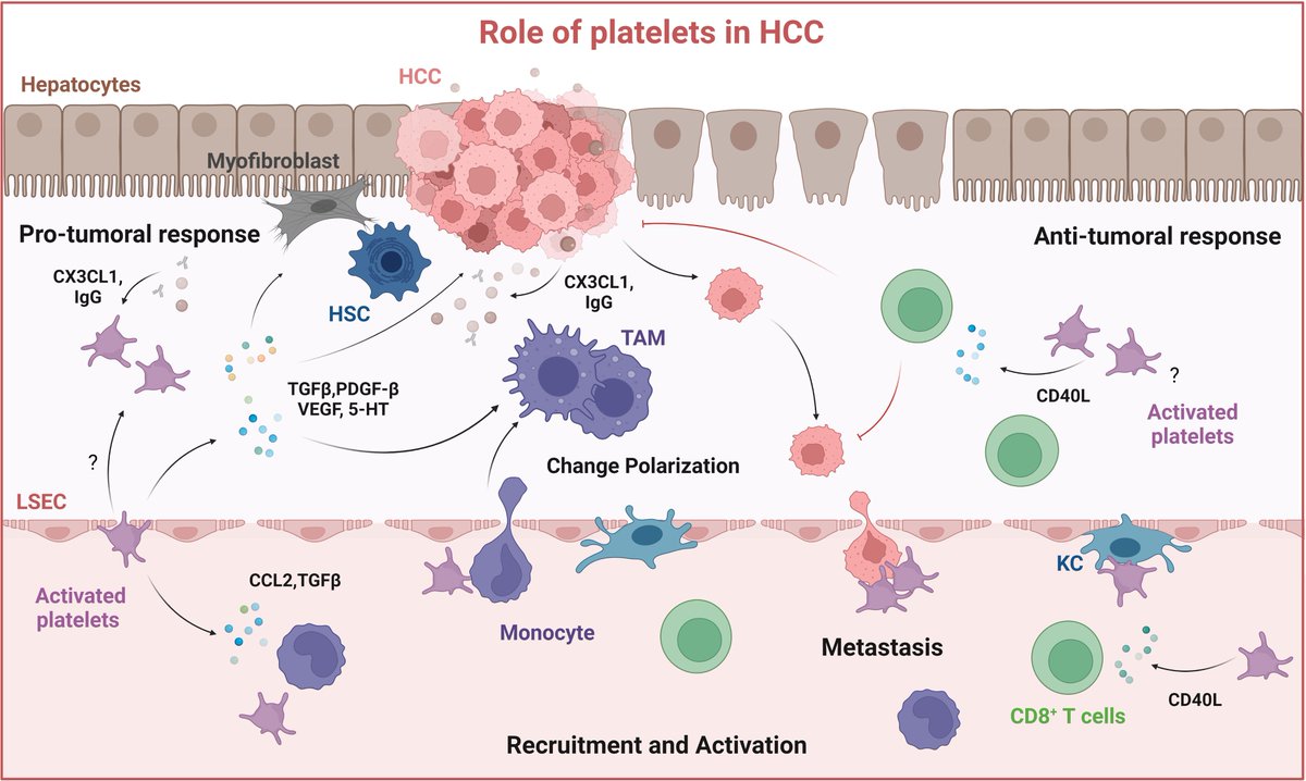 Carsten Deppermann tweet media
