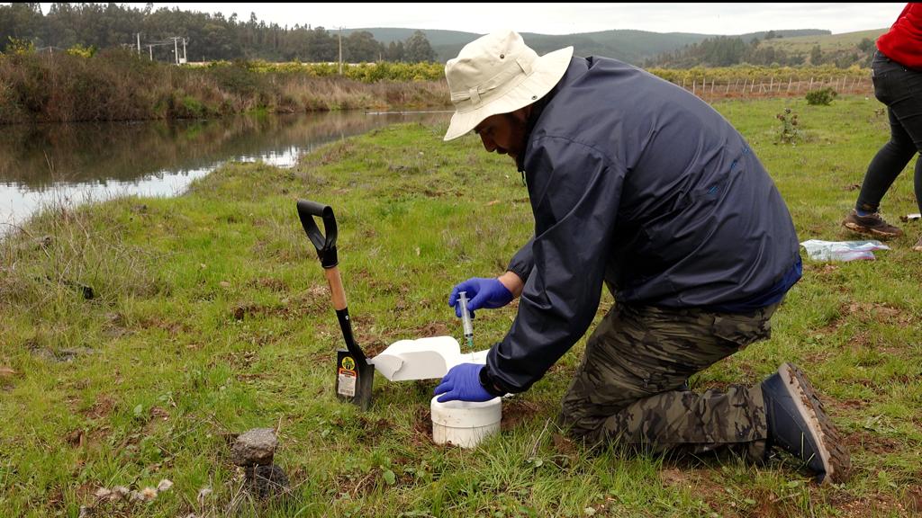Claudia Rojas 🌳🧫🧬🌿 tweet media