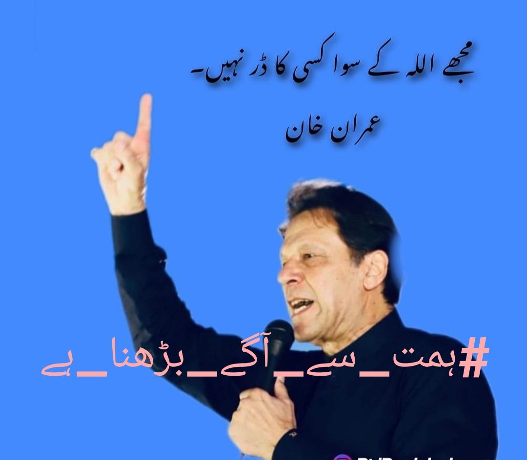 Shanzay tweet media