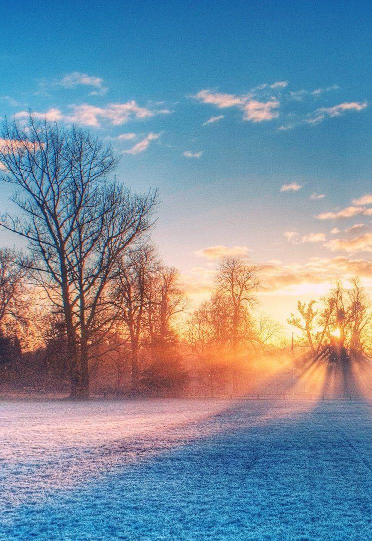 Winter morning on a sports field