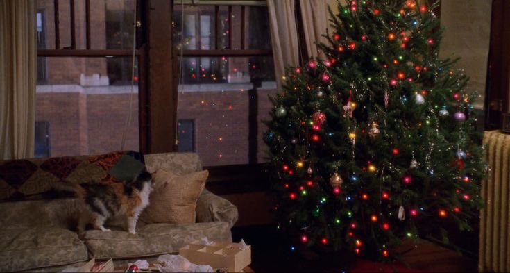 a_carrot_bagel's tweet photo. 20 days left : Christmas is coming 🎄🌷🥣 https://t.co/oswuhOYvNV