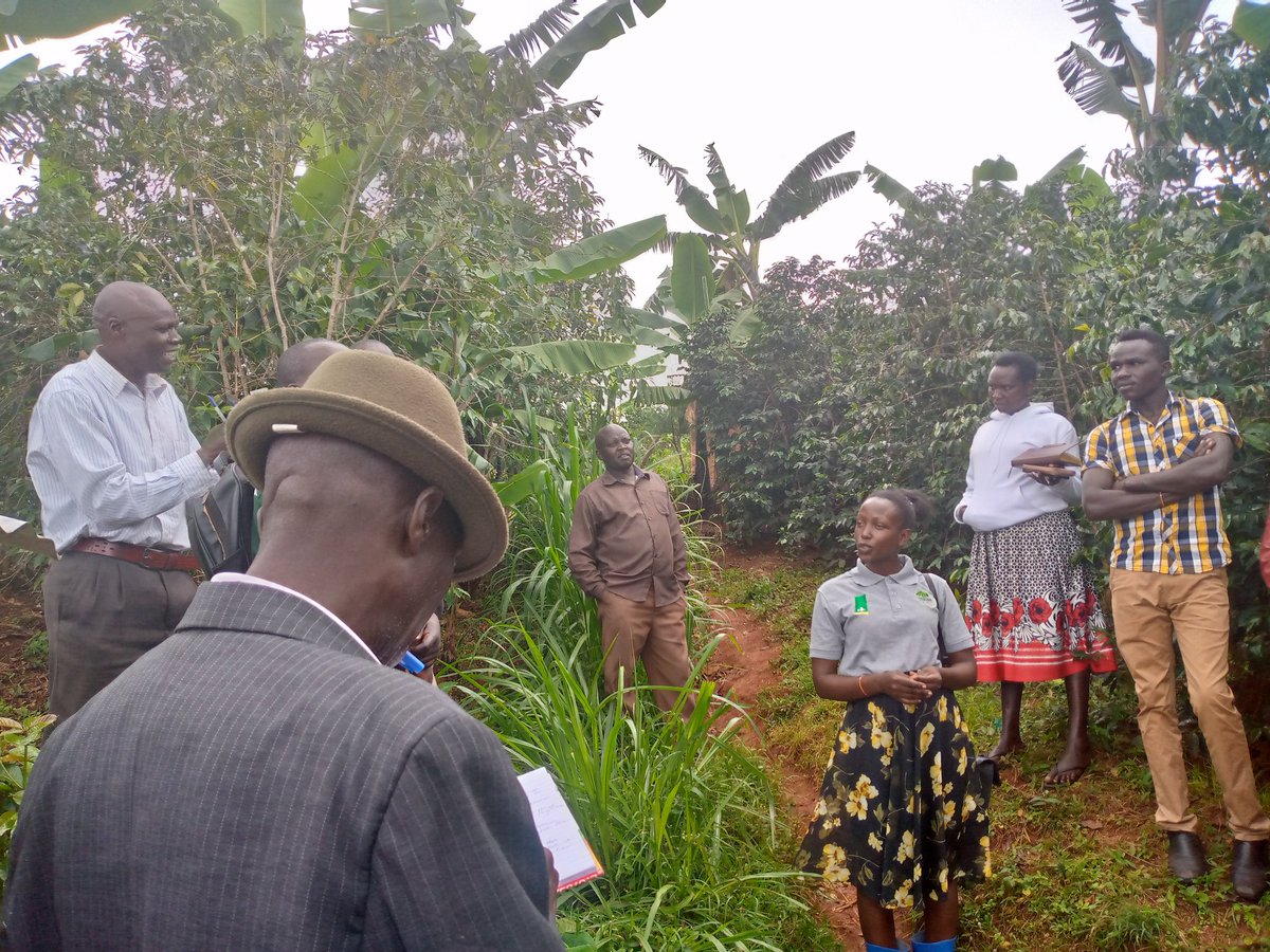MashaCoffeeUg's tweet photo. Learning tour for our coffee farmers from Kween district happening now in Kabeywa sub county in Kapchorwa district. Thanks @aBiDevtFinance for making this possible.
Topics
GAPs,PHH,Manure application in climate Smart Agriculture @syliviaachebet @ChekaptuiE https://t.co/mXc6EORHMq