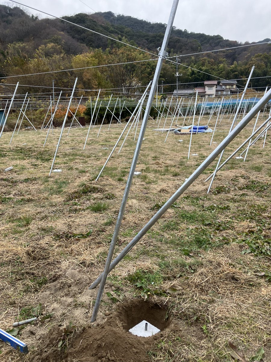ブドウ棚新設中！業者さんがトンネルメッシュ前までやるって話だったのに、忙しいとかなんとかで、中柱から自分で施工することに😳いやいや工程残りすぎですけど？