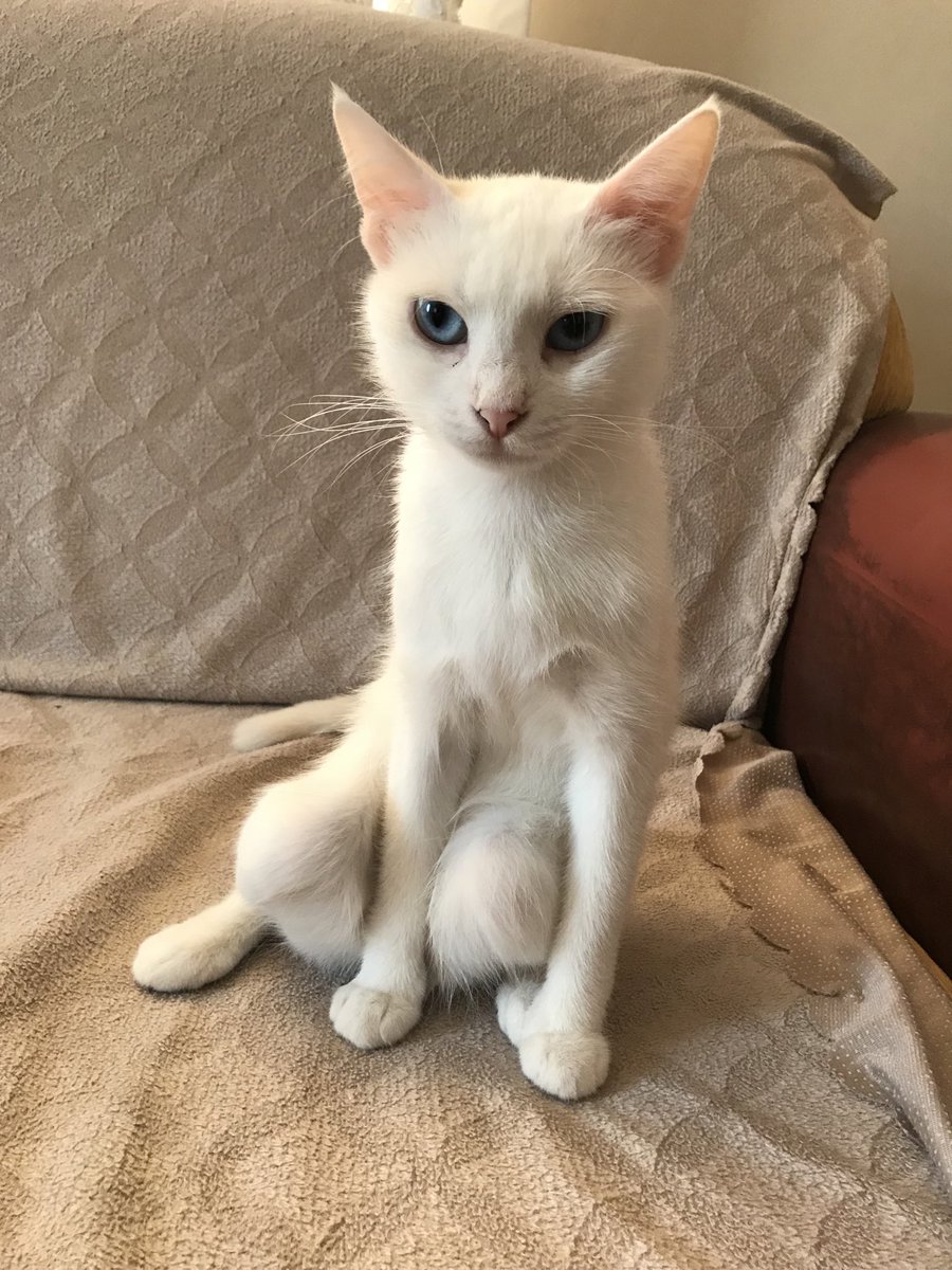 Daha once bu kadar farkli oturma pozisyonu gormemisinizdir