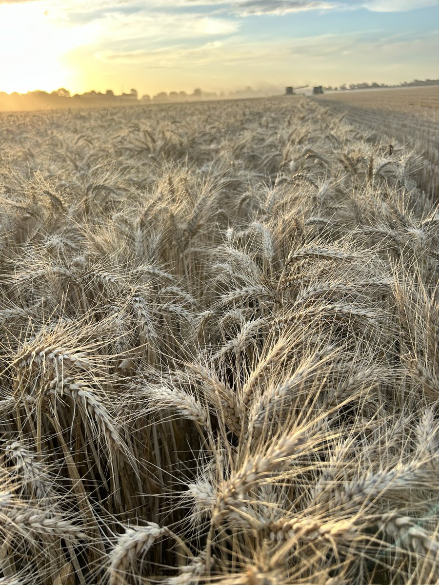 Aaron Giason tweet media