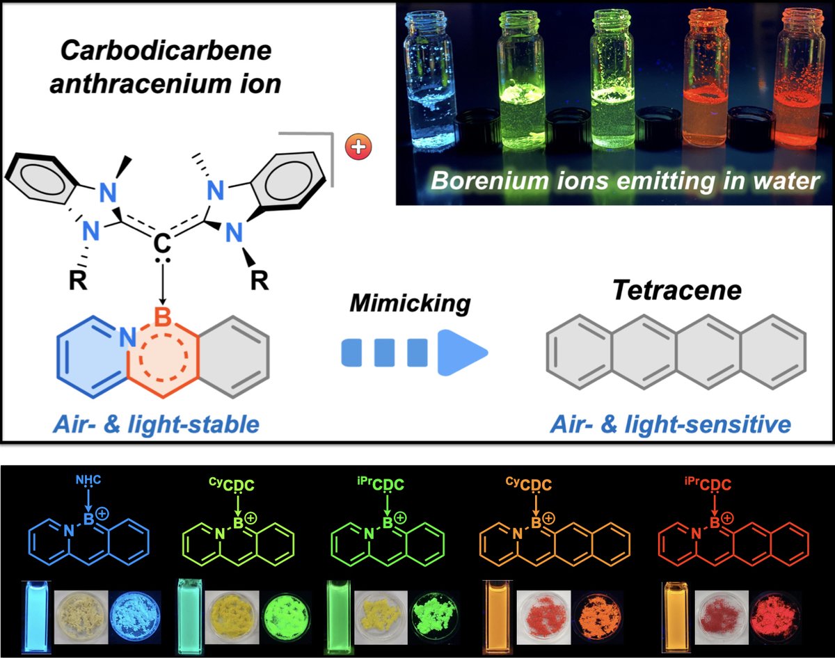 Our manuscript on luminescent BN-anthracene and -tetracene cations is now published in @NatureChemistry! Chun-Lin reports air- and photo-stable carbodicarbene-azaboraacenium ions as electronic mimics for higher-order acenes. nature.com/articles/s4155… #maingroup #boron #electronics