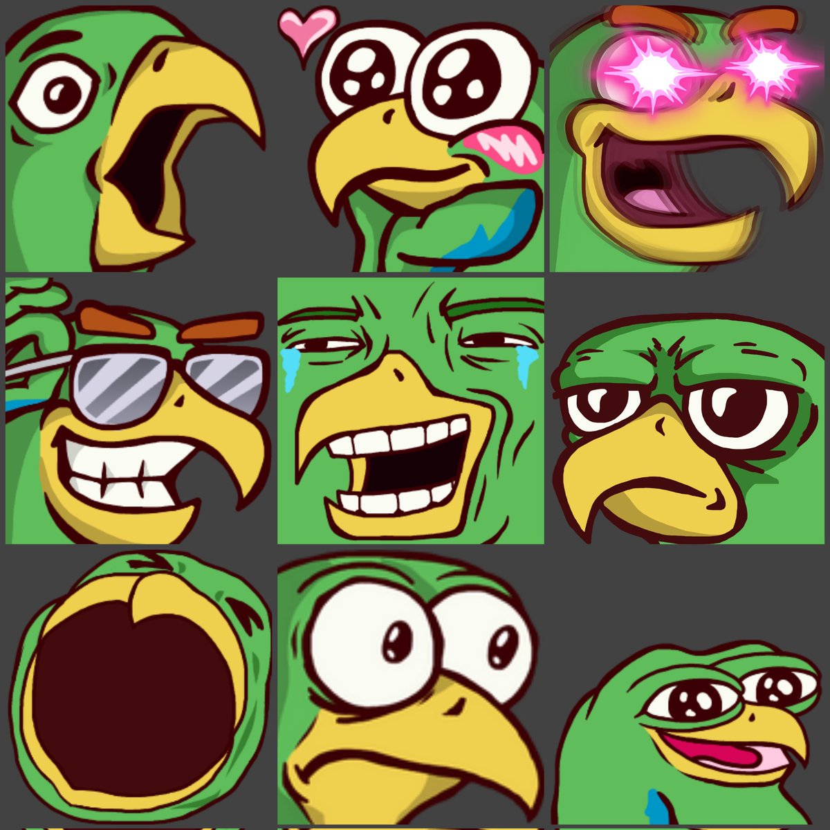 Parrott 🦜 tweet media