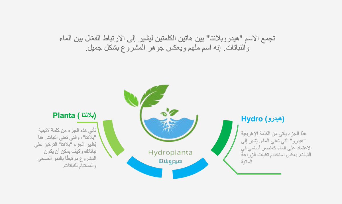 H2oplant's tweet photo. تحمل" هيدروبلانتا" اسماً جميلاً يعكس مكونات النبتة المائية .

#مبتكرون https://t.co/OdQBBnzWP7