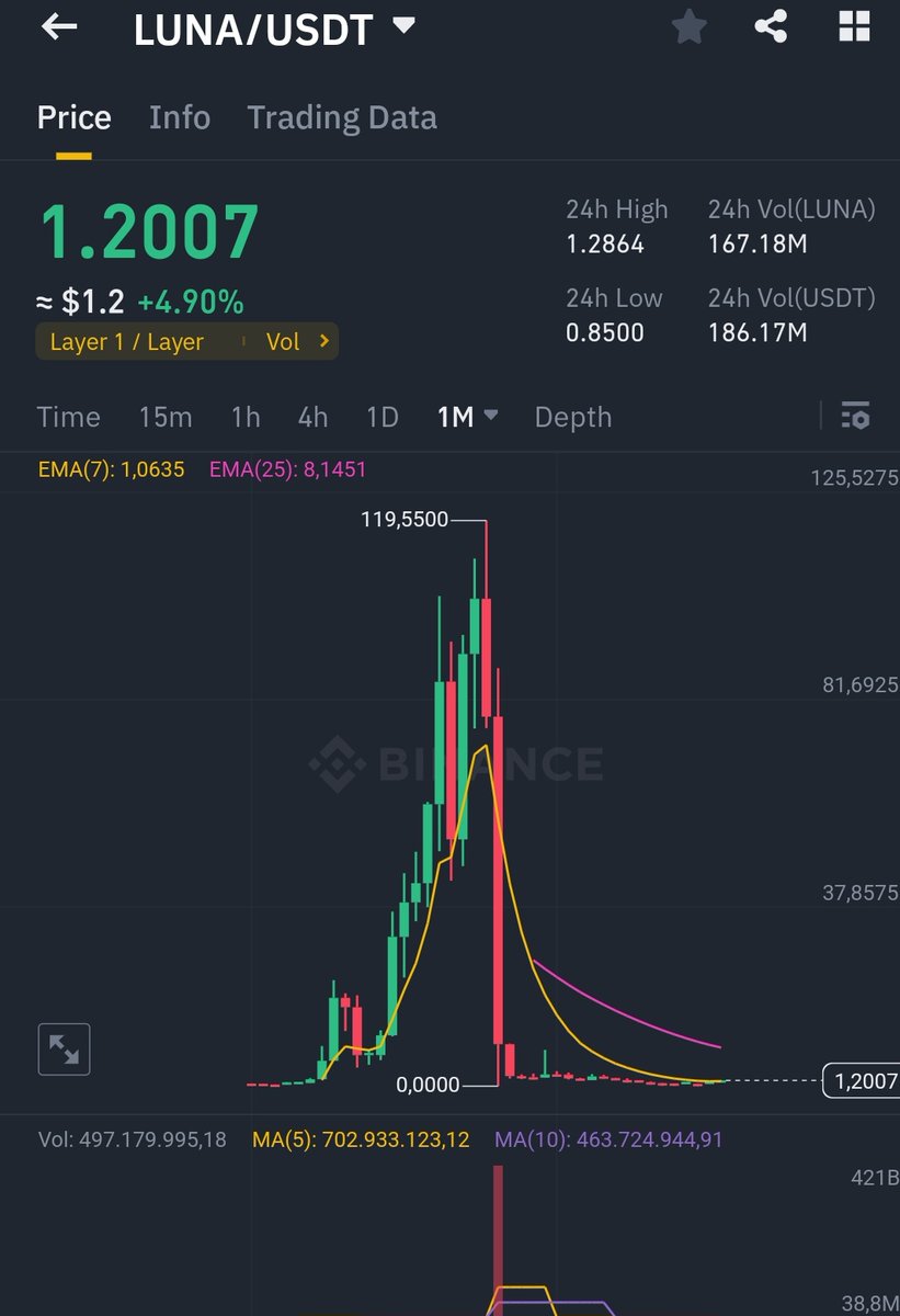 WIZZ🥷 ( beware scammers ) tweet media