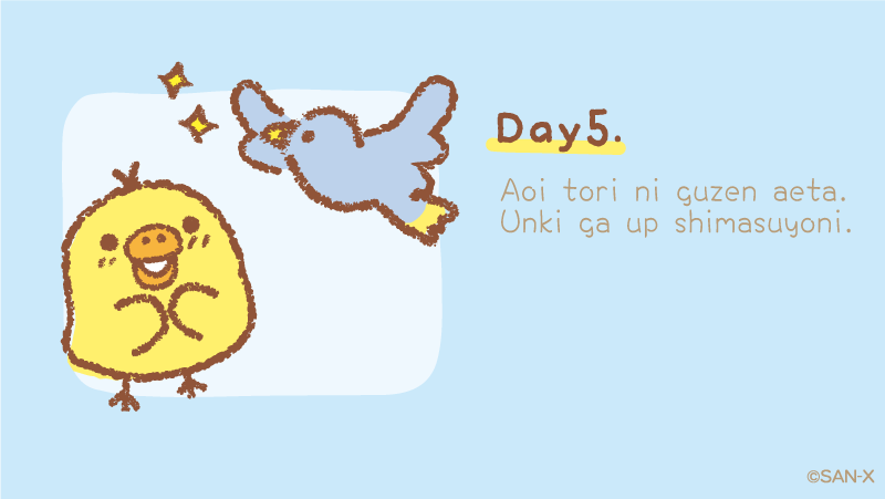 リラックマ キイロイトリ 幸運のアオイトリ キイロイトリ トリップ🐥Day5📘 アオイトリ ニ グウゼン アエタ