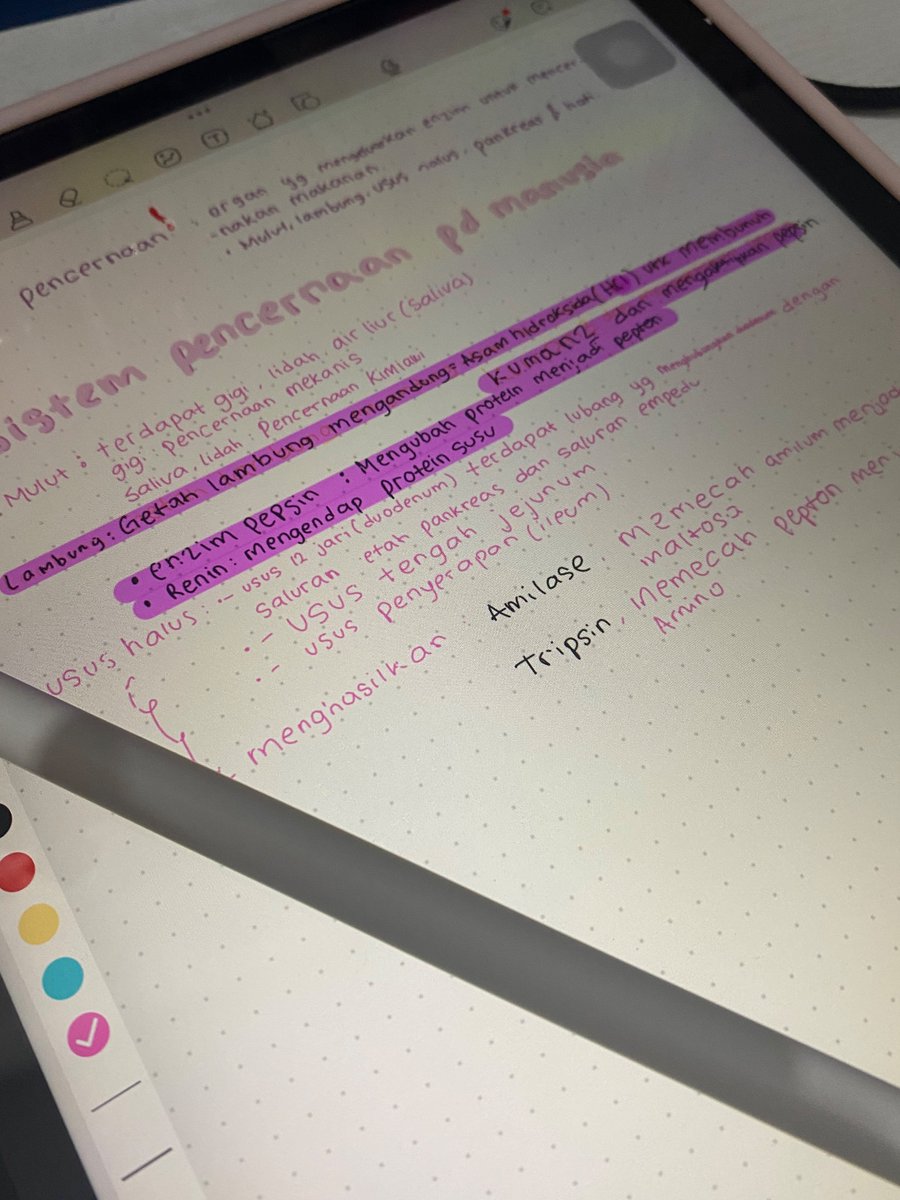 studying ipa with pink!!