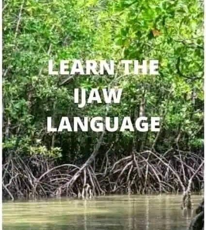 IjawMemoirs's tweet photo. As an ijaw man/woman how many dialects can you comfortably speak and understand???
No lie o 😁
#ijawlanguage #Ijaw https://t.co/2O66e0wKzU