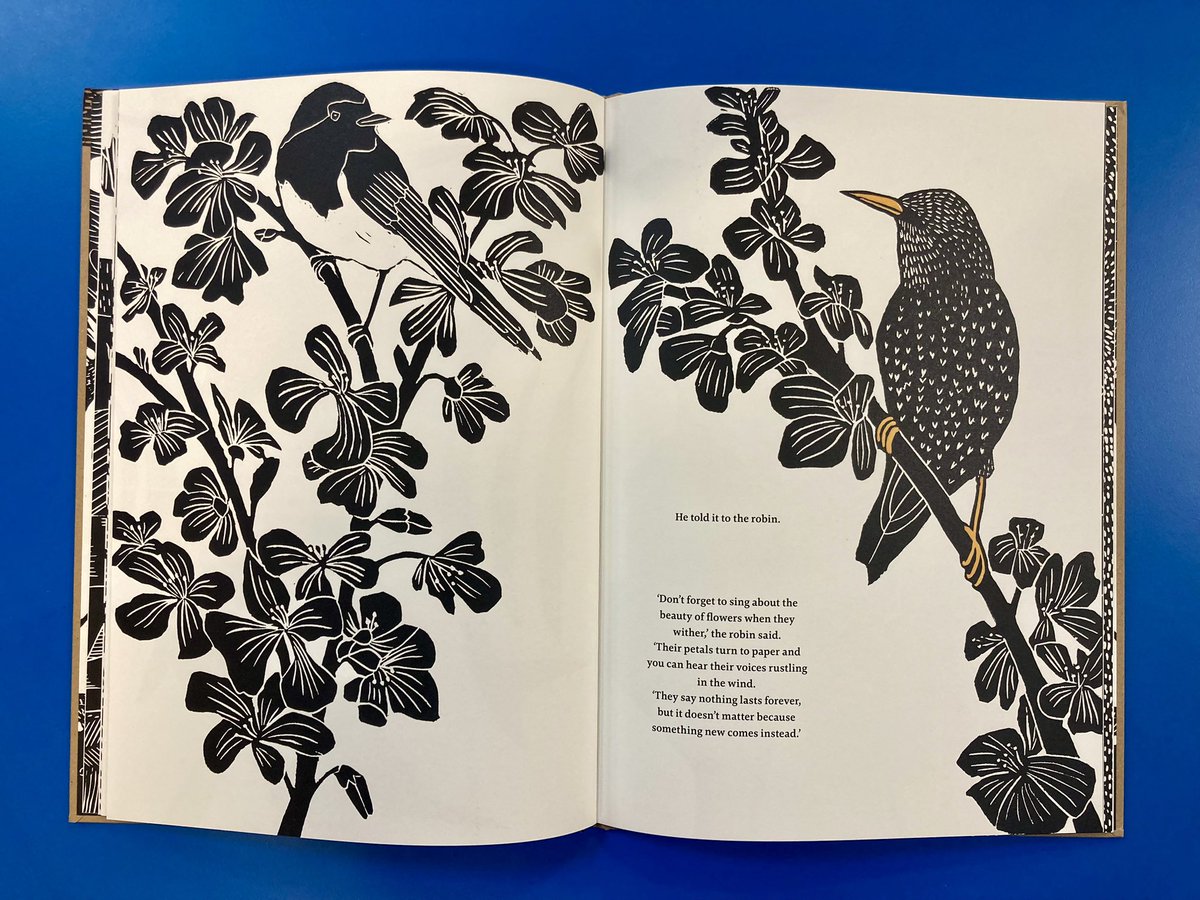 Rebecca Rouillard 💙 tweet media