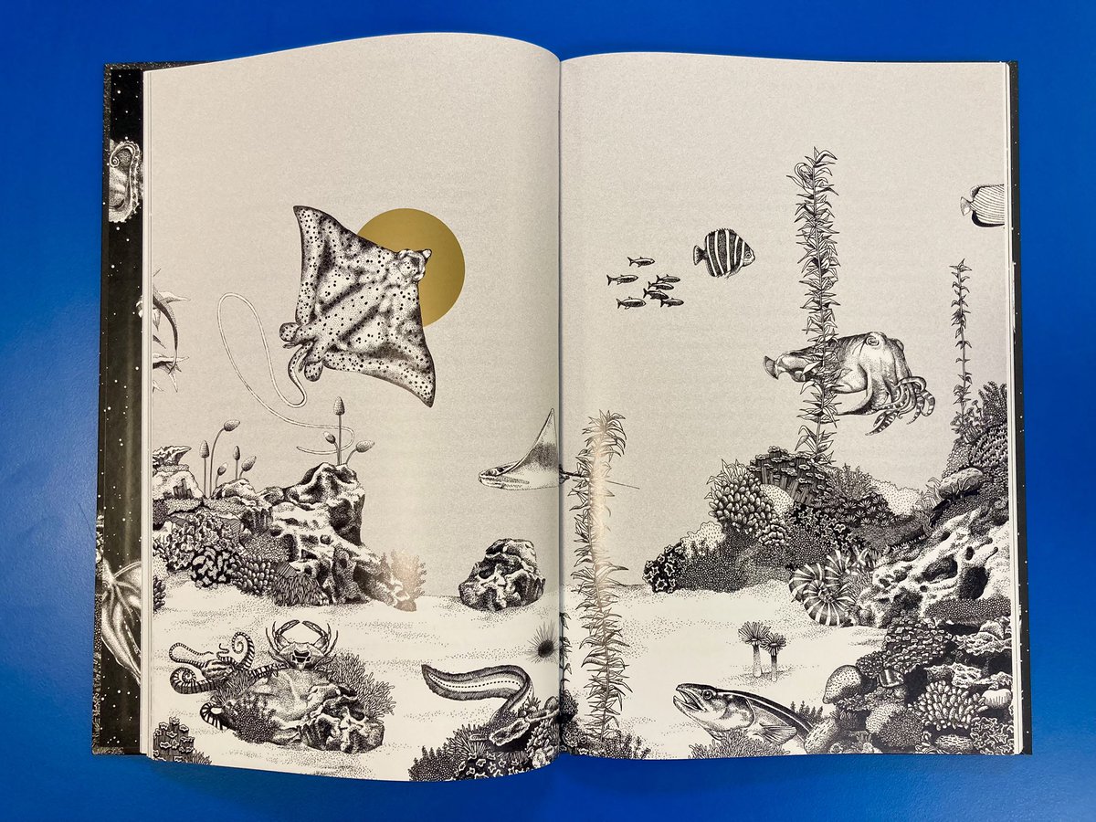 Rebecca Rouillard 💙 tweet media