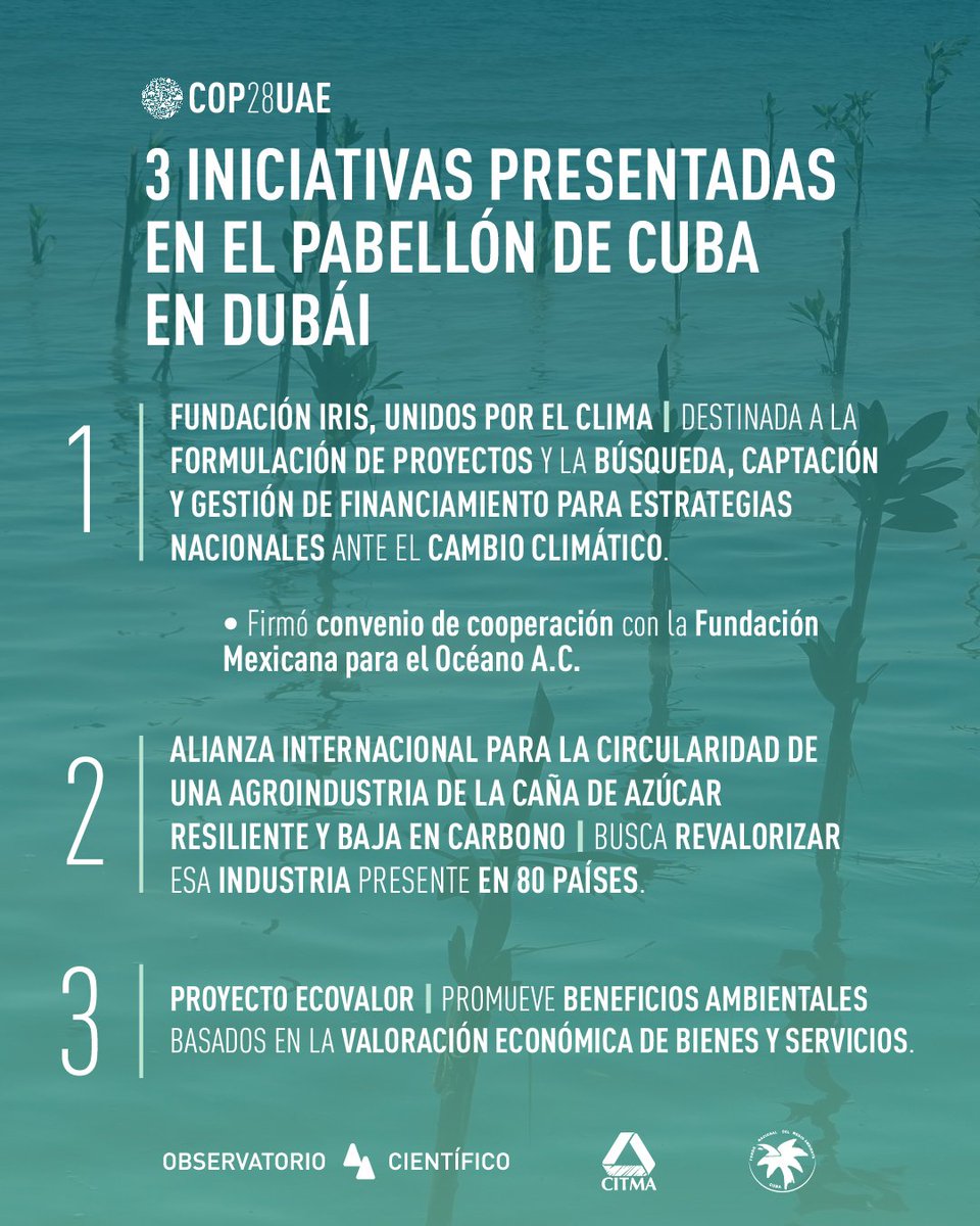 Aumenta interés y participación de visitantes de muchas partes del mundo 🌎 ante diversa programación de eventos y  actividades en Pabellón de #CubaCOP28. Las presentaciones y audividuales muestran trabajo de 🇨🇺 para enfrentar Cambio Climático y son de mucho interés.

#TareaVida
