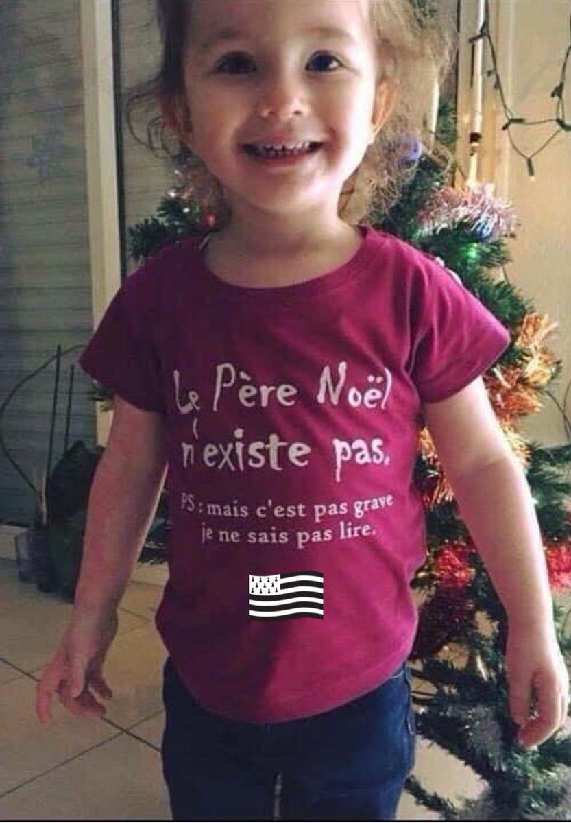 Mammbreizh's tweet photo. La magie de Noël 🎅😇🤣🥰 #Bretagne https://t.co/tt5QXBKHdW