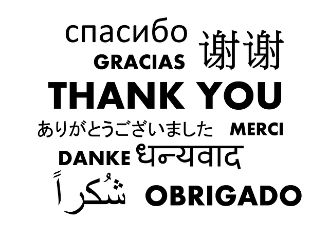 AmbitionOasis's tweet photo. Gratitude Is the Energy of Action https://t.co/JFwFJLmqrV https://t.co/8ibAHTCPOL