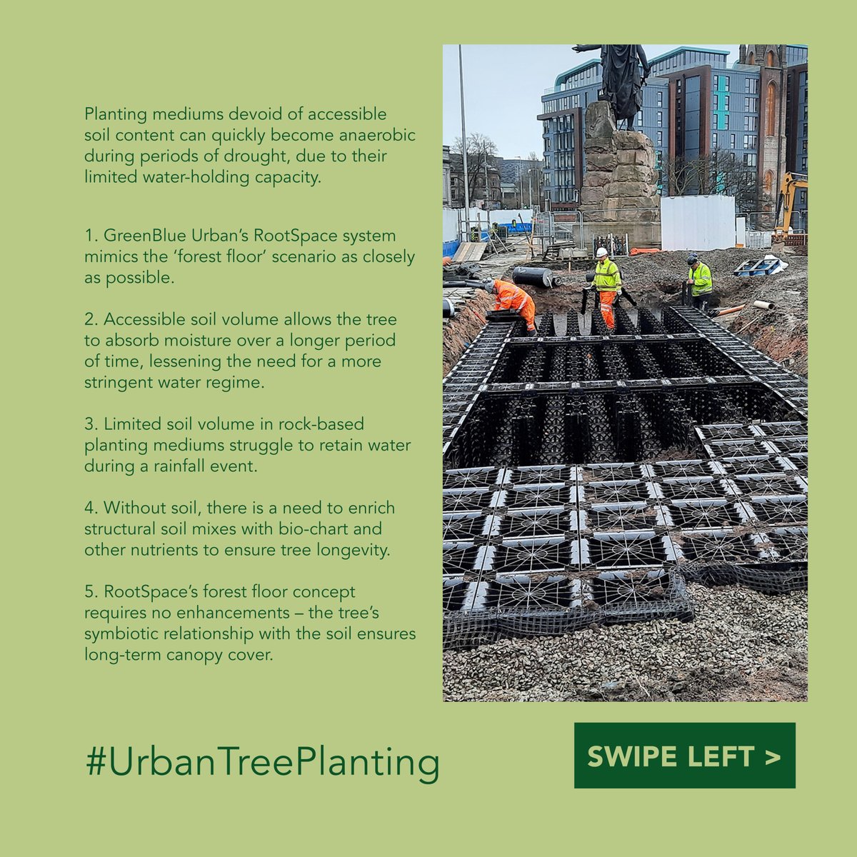 GreenBlueUrban's tweet image. Did you know that urban tree planting isn&apos;t a one-and-done gig? Trees need regular love and care to stay thriving in our urban areas 🌳

#UrbanTreePlanting #SustainableLiving #Maintenance
