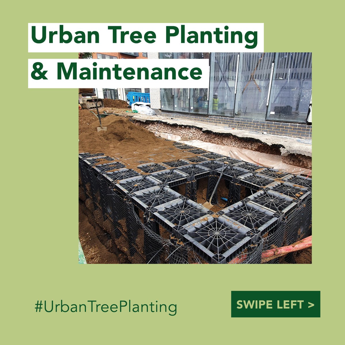 GreenBlueUrban's tweet image. Did you know that urban tree planting isn&apos;t a one-and-done gig? Trees need regular love and care to stay thriving in our urban areas 🌳

#UrbanTreePlanting #SustainableLiving #Maintenance