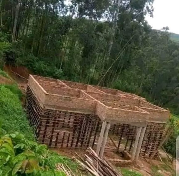 Hatimaye penye miti pamepata wajenzi.

📸Jenga leo