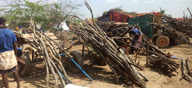 In 🇸🇴, flooding, armed conflicts & failed rainy seasons have displaced 1.4 million people. Deforestation worsens, increasing environmental degradation. Let's provide sustainable energy solutions to local communities. More here: bit.ly/417F3aD