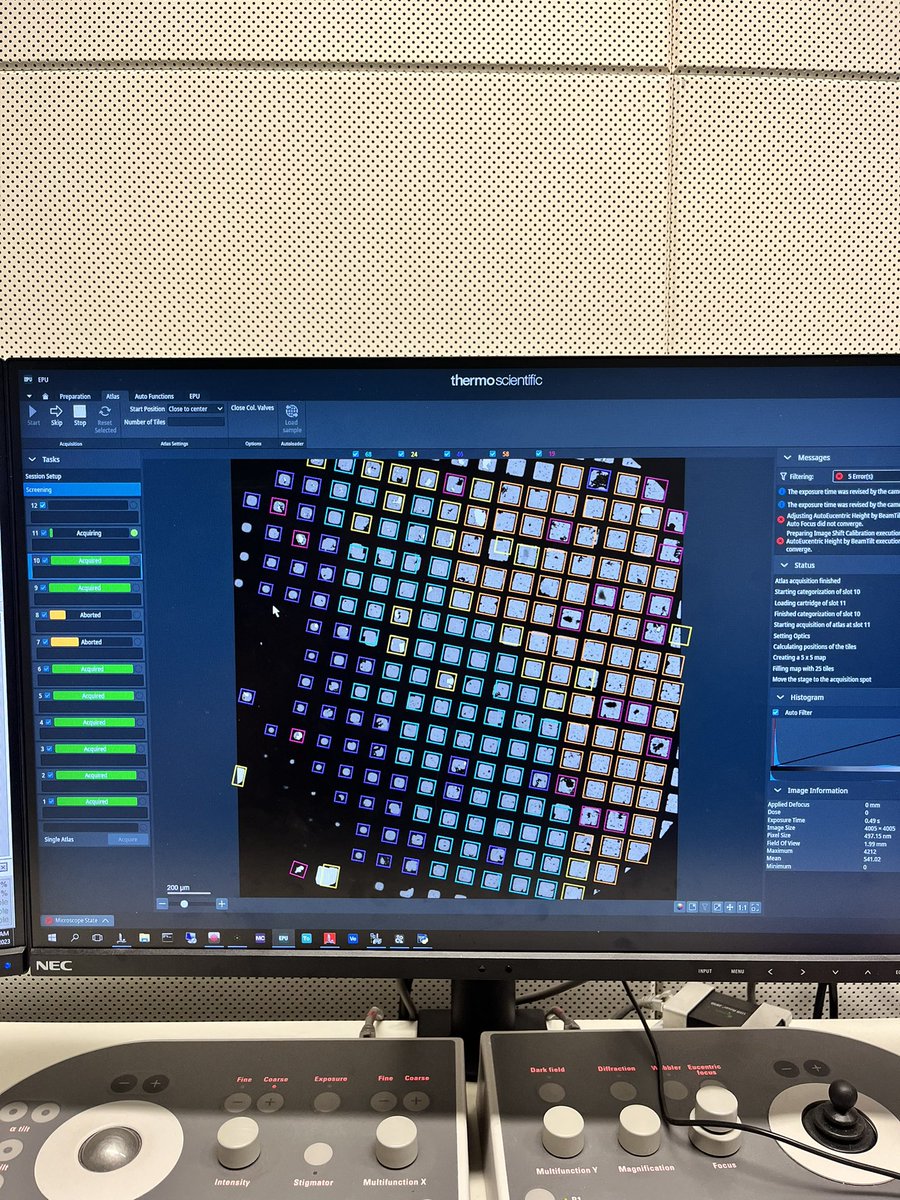 Last day in the lab before writing up 🥲 at least the grids look nice ❄️ #cryoem