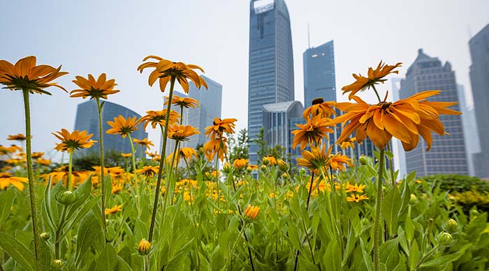 LEDVANCE lanza su primera gama de luminarias sostenibles EVERLOOP revistaluminica.es/ledvance-everl… a través de <a href="/RevistaLuminica/">LUMINICA</a>