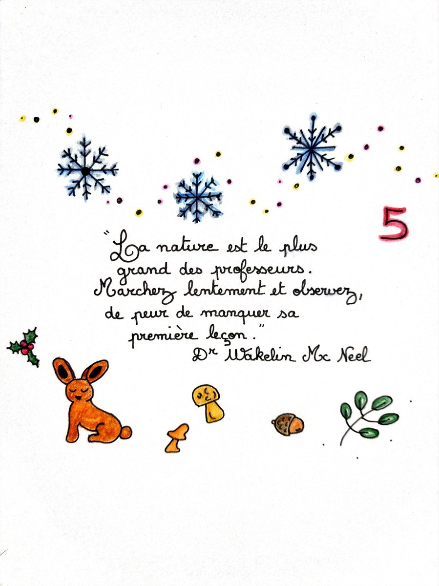 Liberteducation's tweet photo. Aujourd'hui, nous ouvrons notre vignette numéro 5 ! 🌟 Et nous allons parler pour cette occasion de "l'école en forêt" 🎄

On pense que ce concept nous arrive tout droit des pays scandinaves. Mais les débuts de cette pédagogie nous viennent du Wisconsin: en 1927, H.L. Russell, Doyen de l'Agriculture à l'université, obtient une première parcelle de terre, dans une région déforestée, pour que professeurs et enfants oeuvrent ensemble au reboisement de ce terrain.

C'est alors que Wakelin Mc Neel, leader des programmes alternatifs "4H" et fort de son expérience, le rejoint pour la mise en place des premières "forest schools": axées sur la protection de l'environnement, ces écoles permettent aussi d'inciter les jeunes à vivre leur citoyenneté et à être actifs de leurs apprentissages.

Être dehors est un besoin essentiel pour l'enfant, comme nous avons pu le voir déjà dans la pédagogie proposée par Charlotte Mason.
De nombreuses familles en #ief ont déjà intégré cet élément dans leur projet éducatif, tandis que des écoles s'installent doucement elles aussi en s'appuyant sur ce projet au service de l'enfant! 🥰

#forestschool #France #écoledehors #nature #citation #quote #education #CharlotteMason