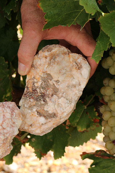 Black Oystercatcher Wines tweet media