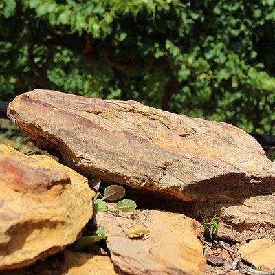 Black Oystercatcher Wines (@boc_wines) on Twitter photo Rooted in diversity, our vineyard celebrates #WorldSoilDay! 🌱
Did you know that our berries' distinct flavours owe it all to the intricate tapestry of our soil — quartzite, broken shale, iron ferricrete, and clay?
Here's to the flavourful fusion beneath our feet! Rooted in diversity, our vineyard celebrates #WorldSoilDay! 🌱
Did you know that our berries' distinct flavours owe it all to the intricate tapestry of our soil — quartzite, broken shale, iron ferricrete, and clay?
Here's to the flavourful fusion beneath our feet!